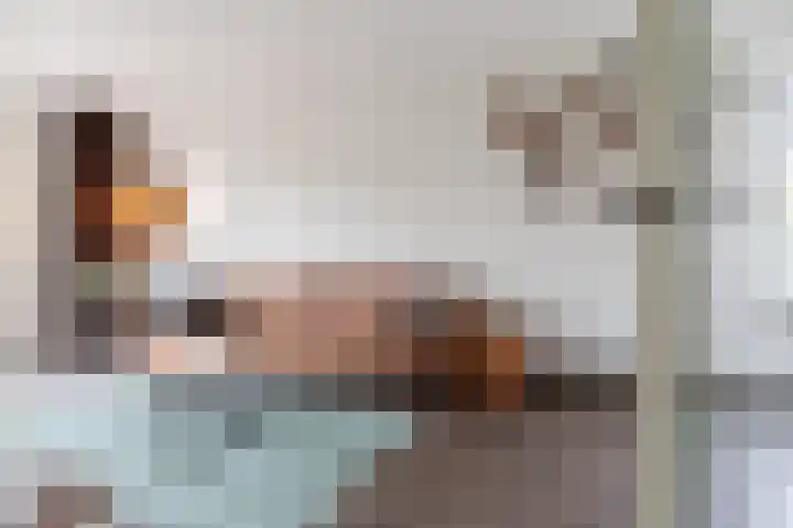 Drakensteinstraat 22 Nijmegen thumbnail 10