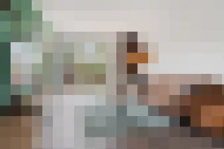 Drakensteinstraat 22 Nijmegen thumbnail 11