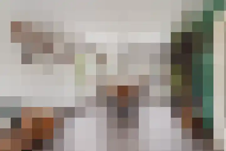 Drakensteinstraat 22 Nijmegen thumbnail 14