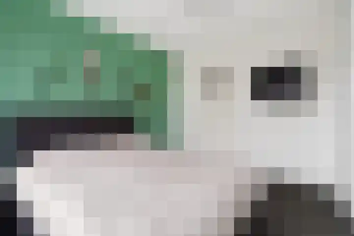 Drakensteinstraat 22 Nijmegen thumbnail 31