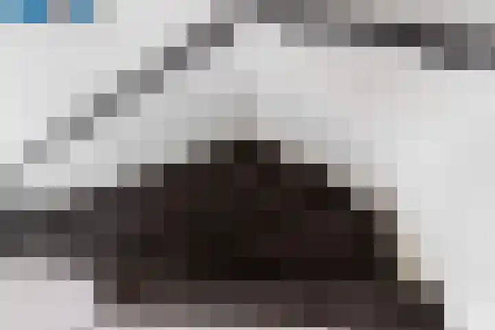 Drakensteinstraat 22 Nijmegen thumbnail 37