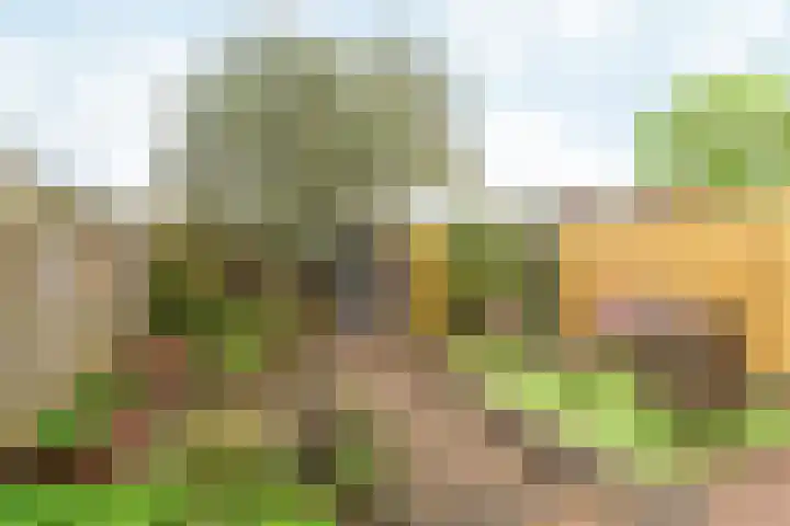 Drakensteinstraat 22 Nijmegen thumbnail 39