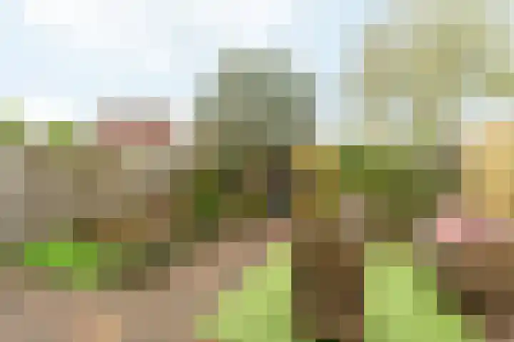 Drakensteinstraat 22 Nijmegen thumbnail 40
