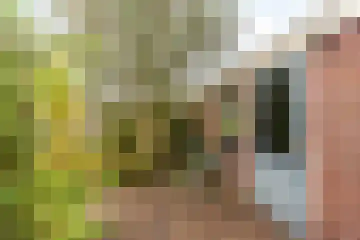 Drakensteinstraat 22 Nijmegen thumbnail 42