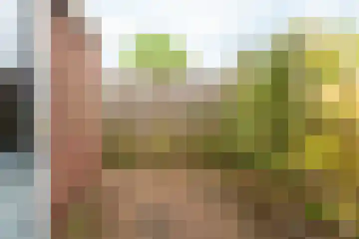 Drakensteinstraat 22 Nijmegen thumbnail 43