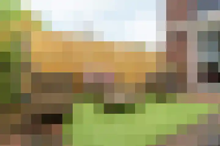 Drakensteinstraat 22 Nijmegen thumbnail 46