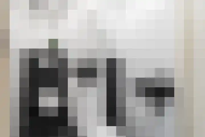 Drakensteinstraat 22 Nijmegen thumbnail 7