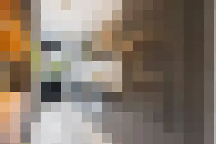 Drakensteinstraat 27 Nijmegen thumbnail 13