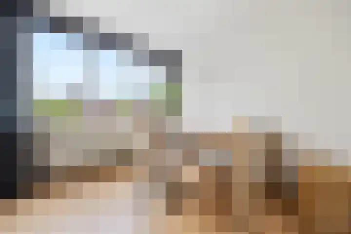 Drakensteinstraat 27 Nijmegen thumbnail 20