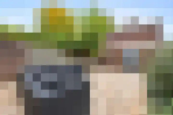 Drakensteinstraat 27 Nijmegen thumbnail 31