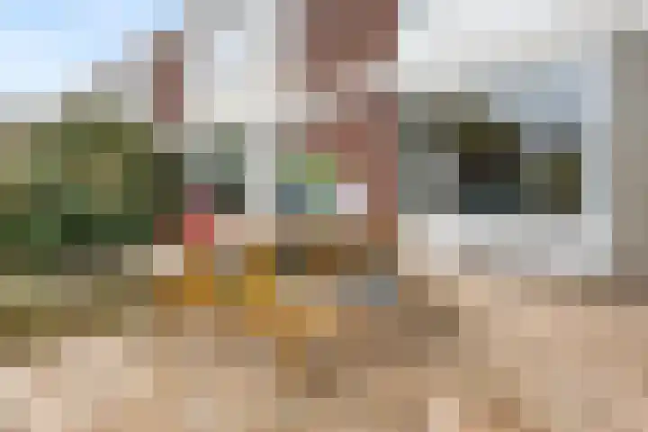 Drakensteinstraat 27 Nijmegen thumbnail 41