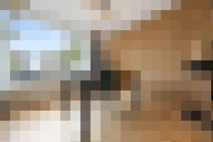 Drakensteinstraat 27 Nijmegen thumbnail 5