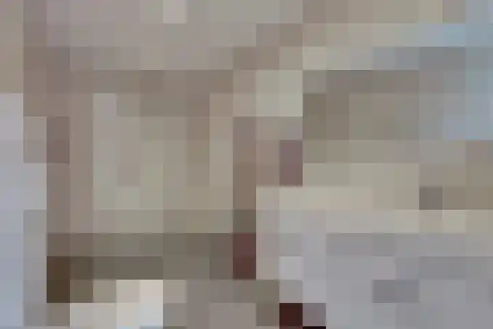 Drakensteinstraat 4 Nijmegen thumbnail 23
