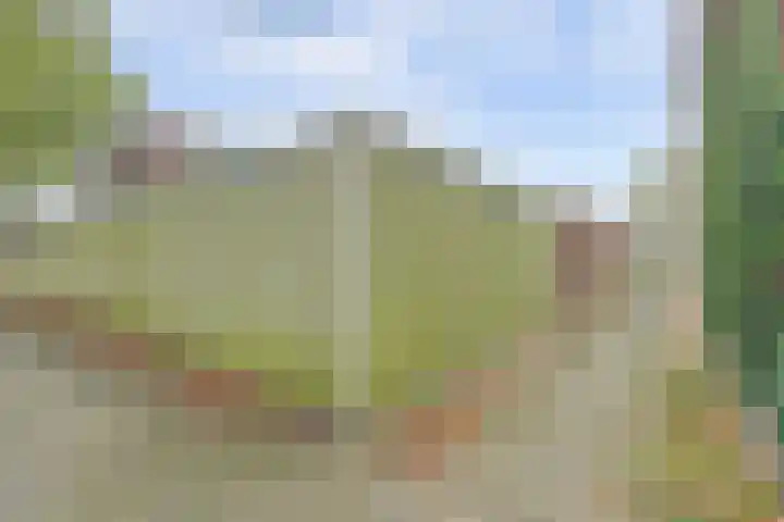 Drakensteinstraat 4 Nijmegen thumbnail 26