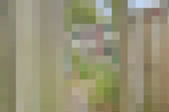 Drakensteinstraat 4 Nijmegen thumbnail 28