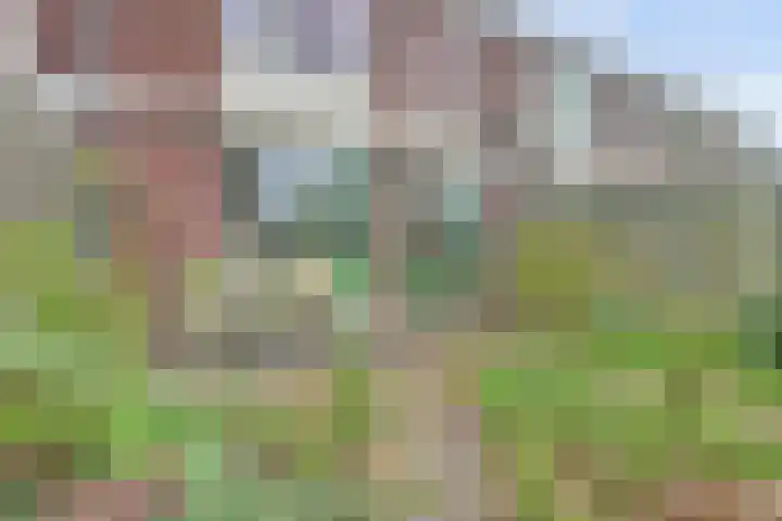 Drakensteinstraat 4 Nijmegen thumbnail 31