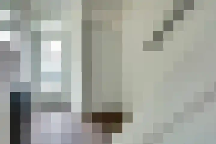 Drakensteinstraat 4 Nijmegen thumbnail 4