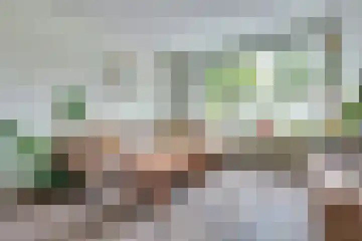 Drakensteinstraat 4 Nijmegen thumbnail 6