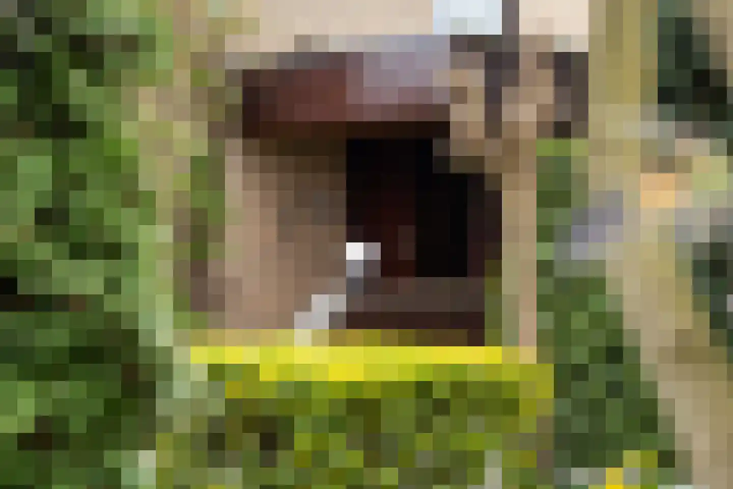 Drakensteynlaan 2 Dordrecht thumbnail 4