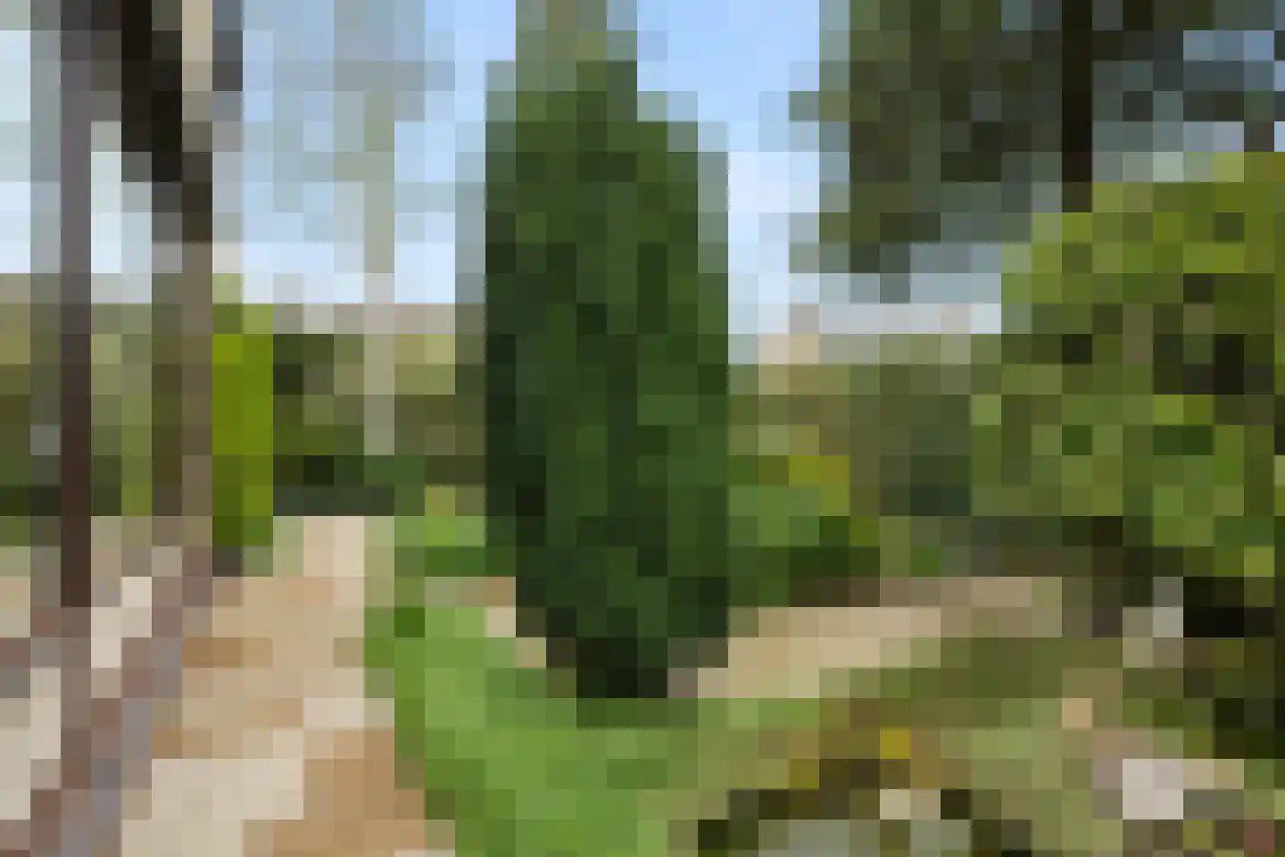 Drakensteynlaan 2 Dordrecht thumbnail 68