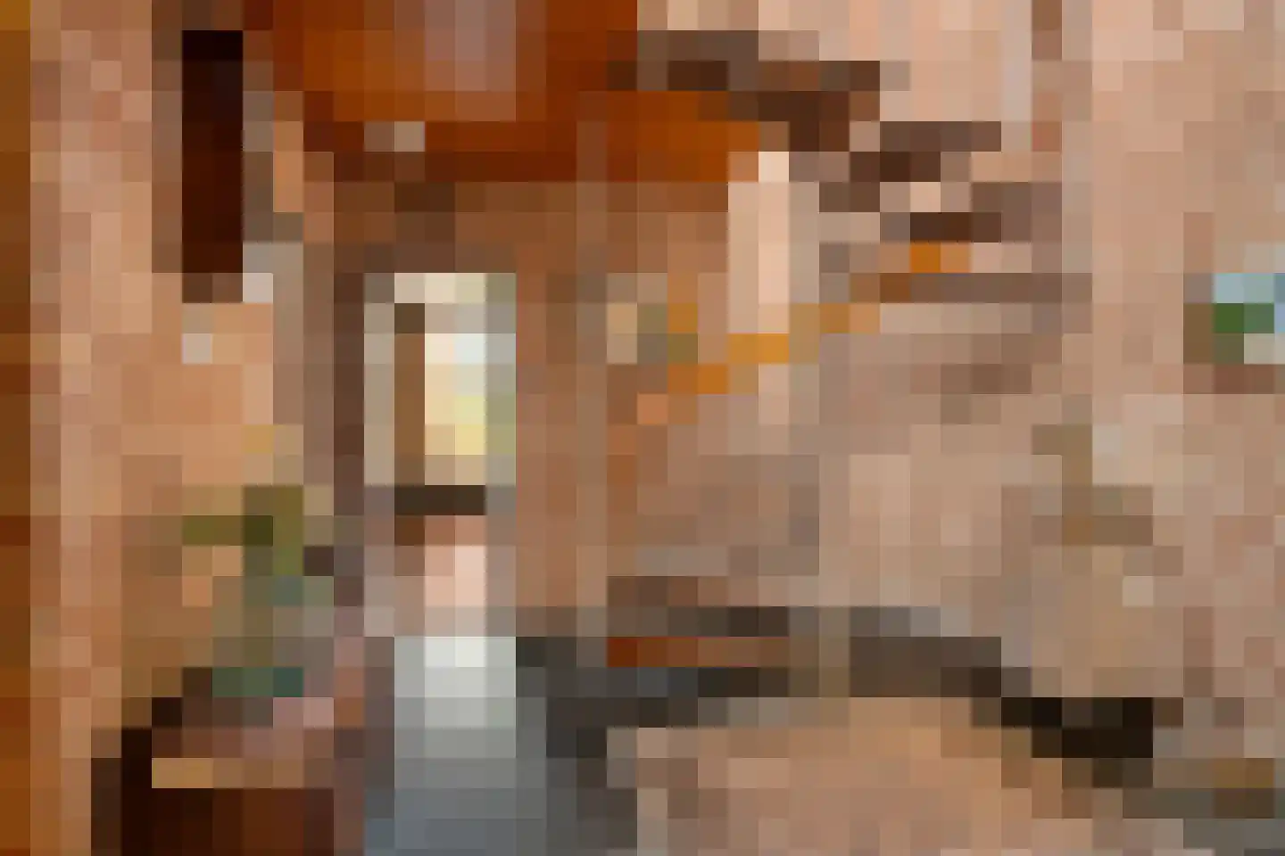 Drakensteynlaan 2 Dordrecht thumbnail 7