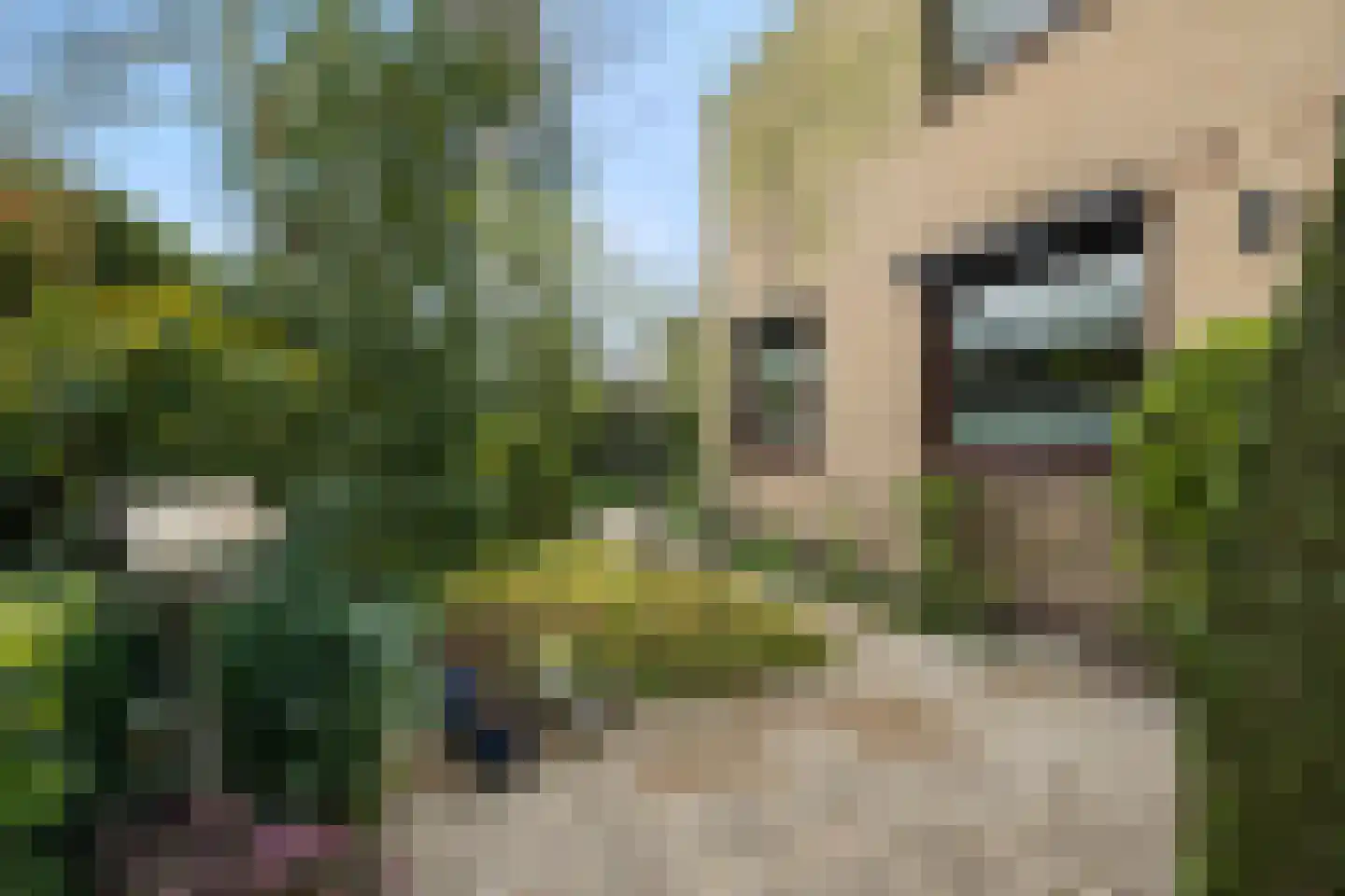 Drakensteynlaan 2 Dordrecht thumbnail 74