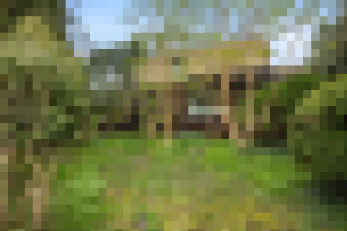 Drakensteynlaan 2 Dordrecht thumbnail 77