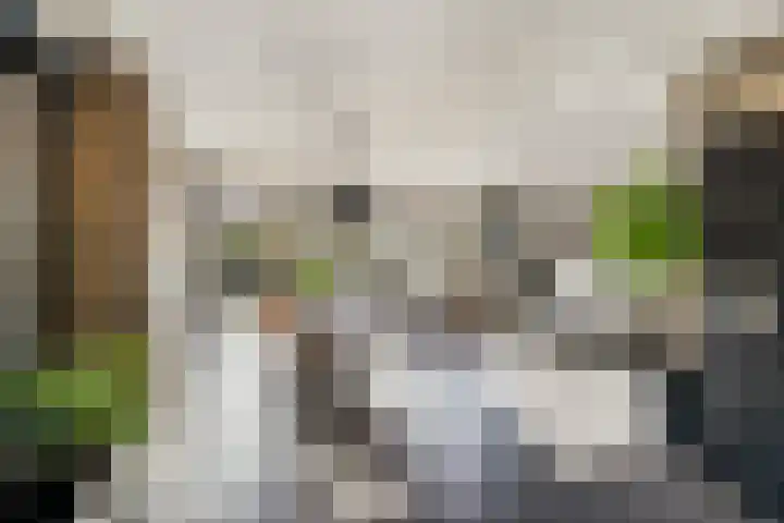 Drakensteynlaan 4 Dordrecht thumbnail 16