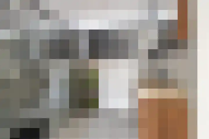 Drakensteynlaan 4 Dordrecht thumbnail 30