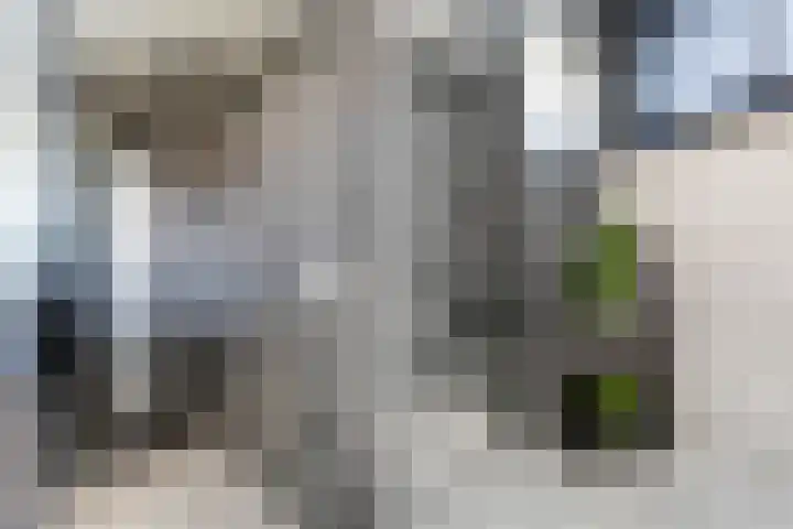 Drakensteynlaan 4 Dordrecht thumbnail 32