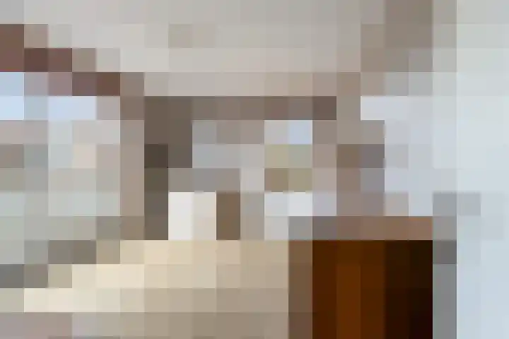 Drakensteynlaan 4 Dordrecht thumbnail 33