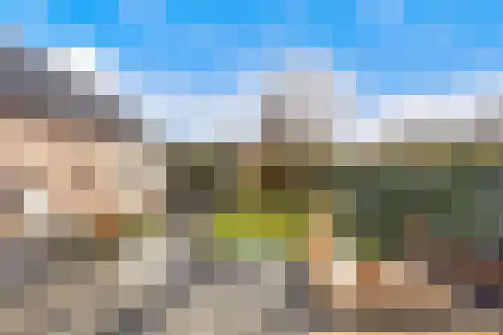 Drakensteynlaan 4 Dordrecht thumbnail 47