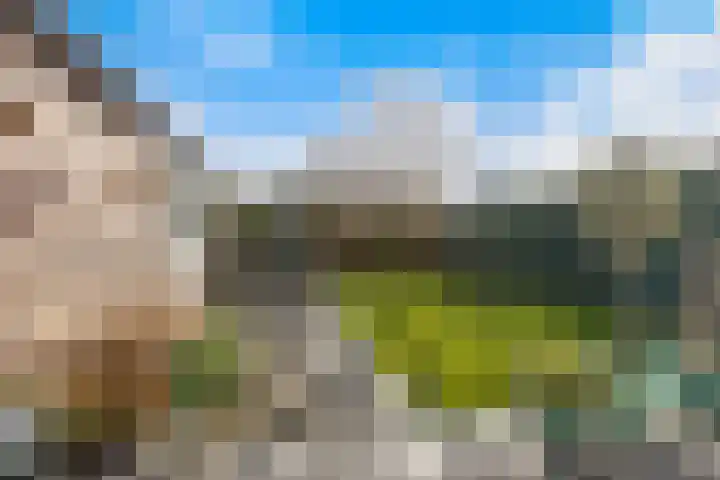 Drakensteynlaan 4 Dordrecht thumbnail 49
