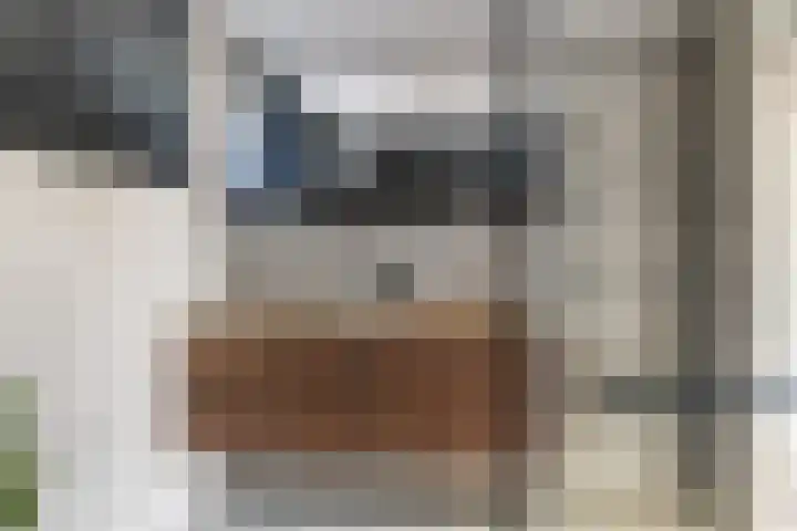 Drakensteynlaan 4 Dordrecht thumbnail 5