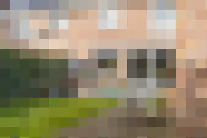 Drakensteynlaan 4 Dordrecht thumbnail 51