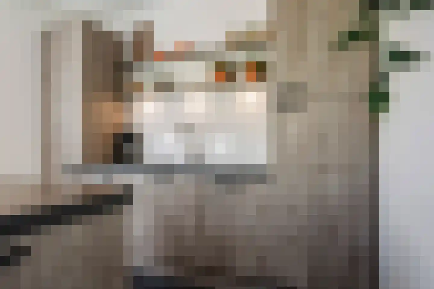 Drakensteynpad 5 Zevenhuizen thumbnail 18