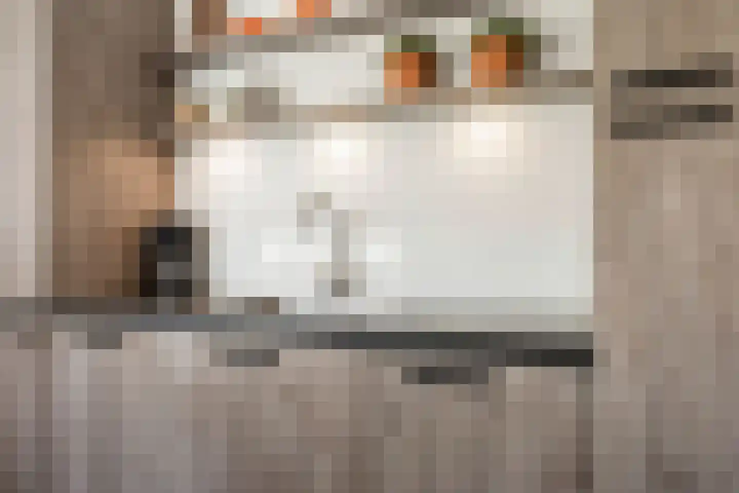 Drakensteynpad 5 Zevenhuizen thumbnail 19