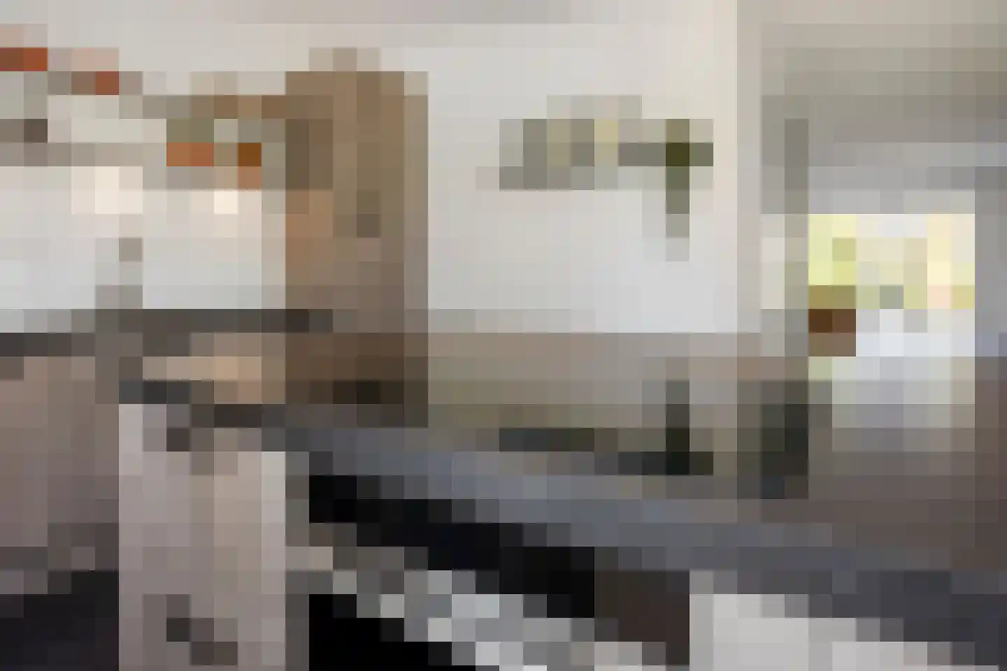 Drakensteynpad 5 Zevenhuizen thumbnail 20