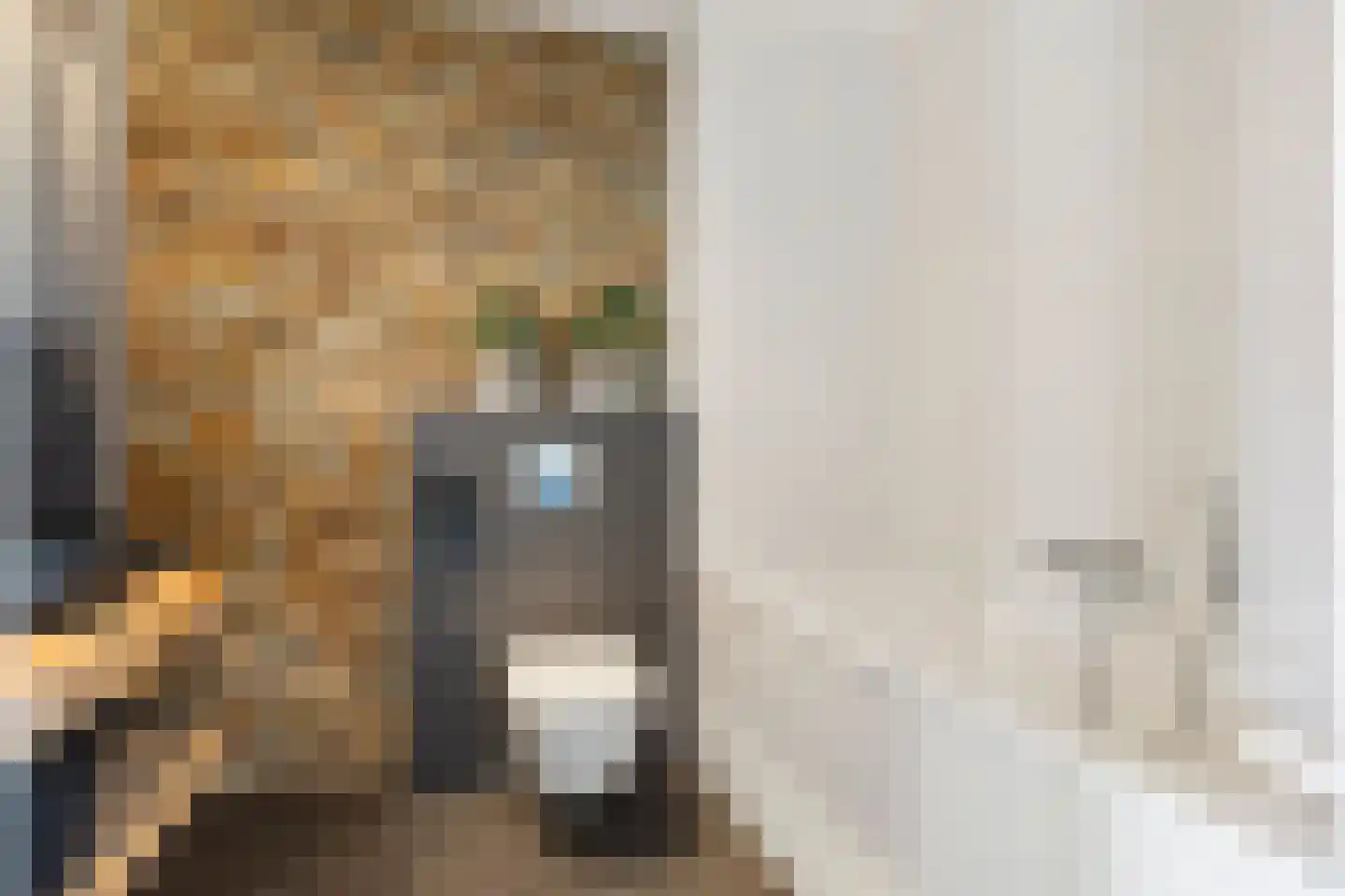 Drakensteynpad 5 Zevenhuizen thumbnail 30