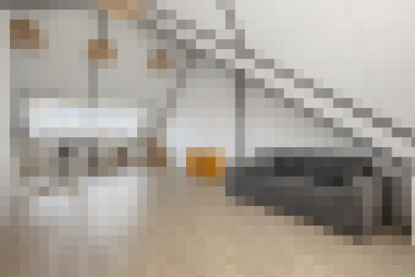 Drakensteynpad 5 Zevenhuizen thumbnail 32