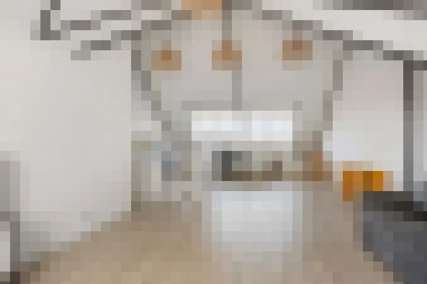 Drakensteynpad 5 Zevenhuizen thumbnail 33