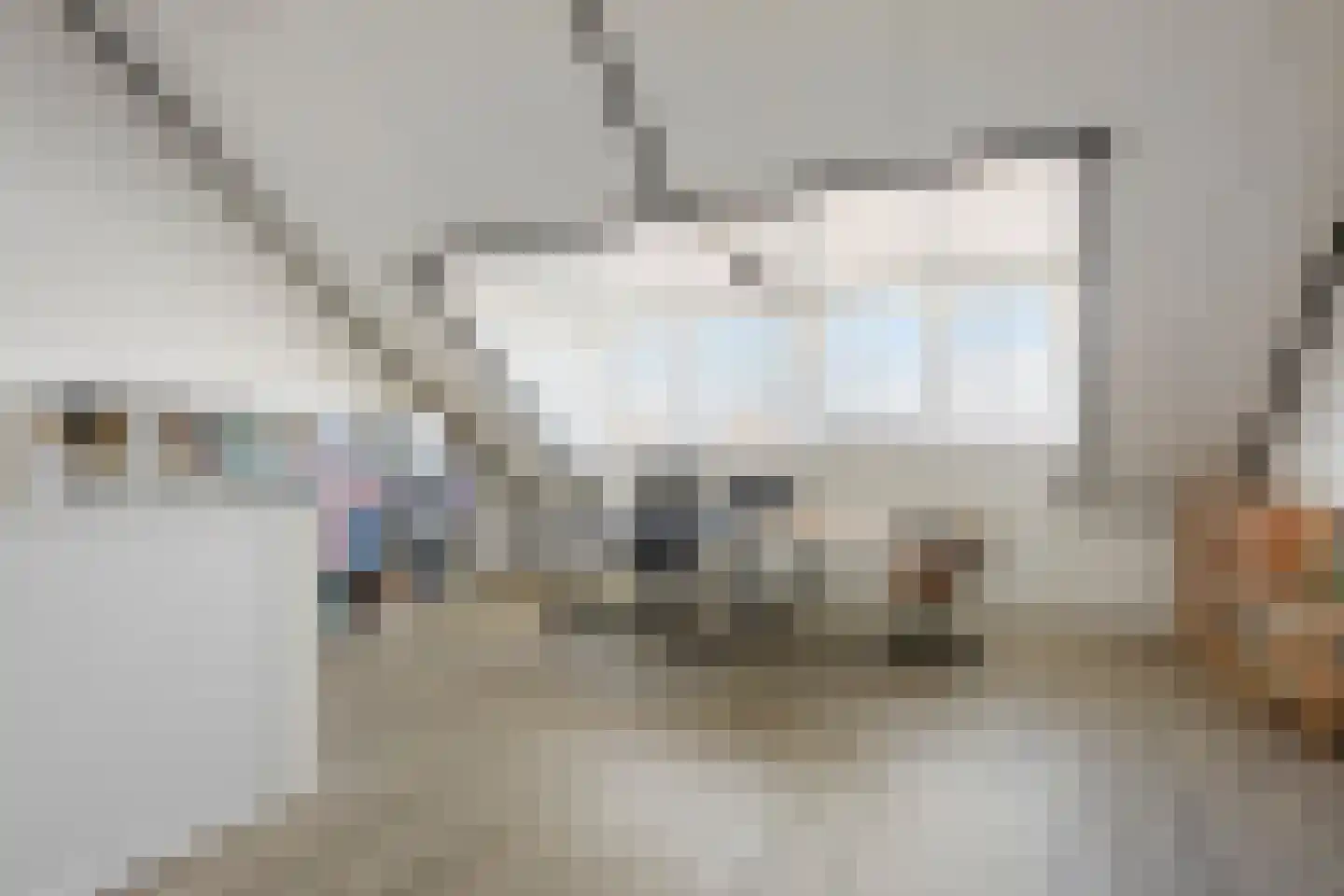 Drakensteynpad 5 Zevenhuizen thumbnail 34