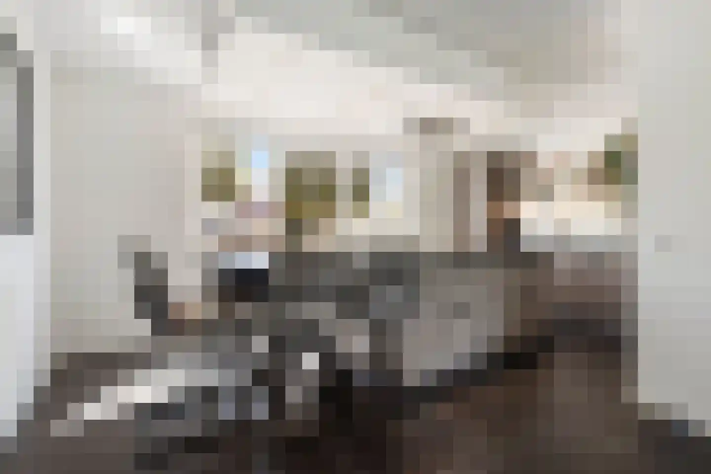 Drakensteynpad 5 Zevenhuizen thumbnail 4
