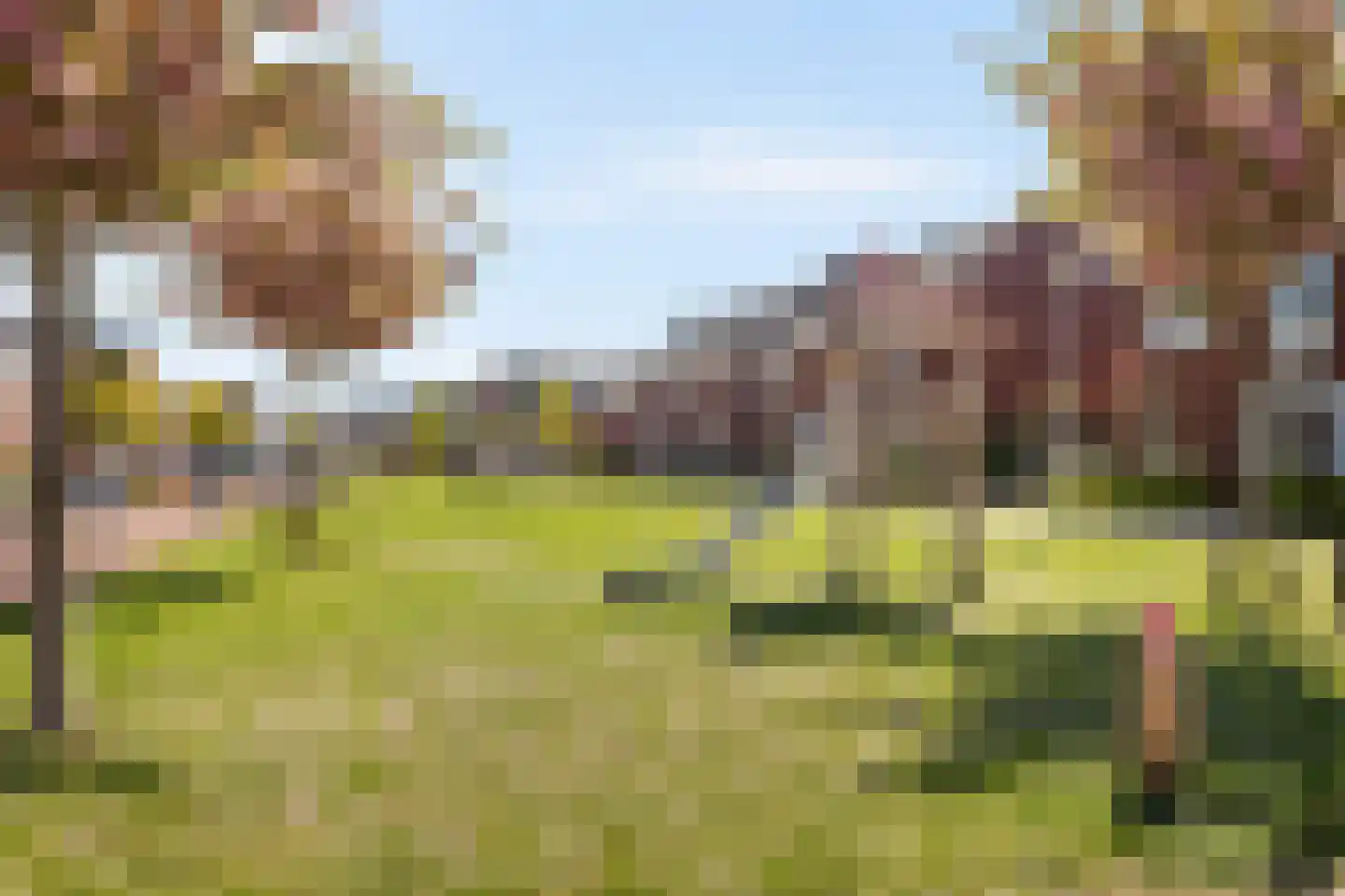 Drakensteynpad 5 Zevenhuizen thumbnail 44