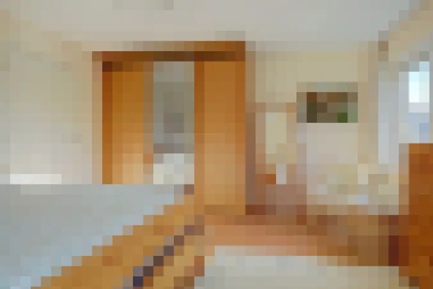 Drakensteynstraat 2 Haarlem thumbnail 21