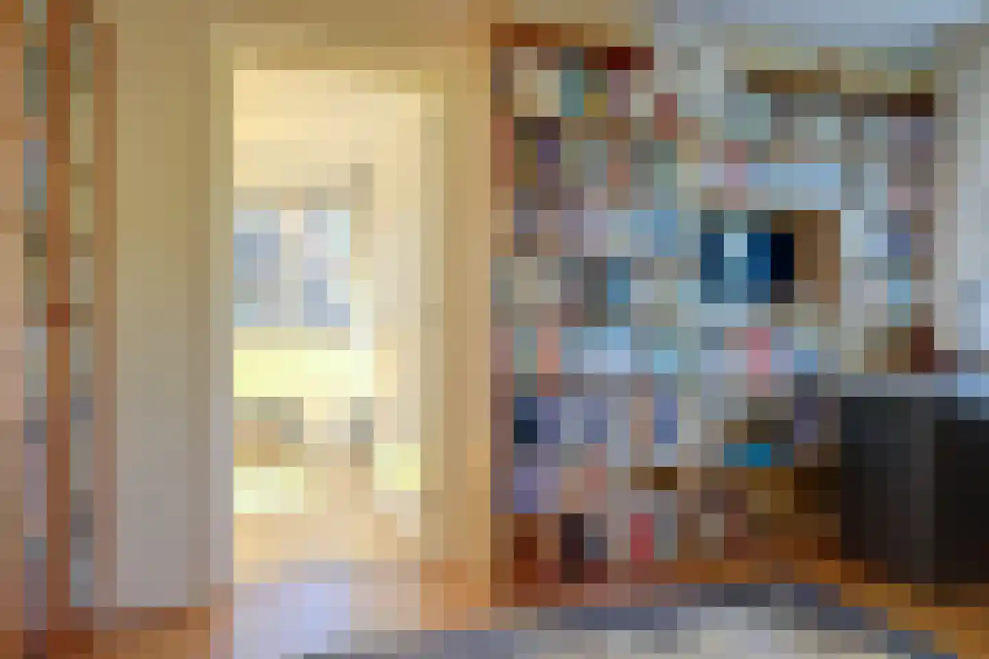 Drakensteynstraat 2 Haarlem thumbnail 25
