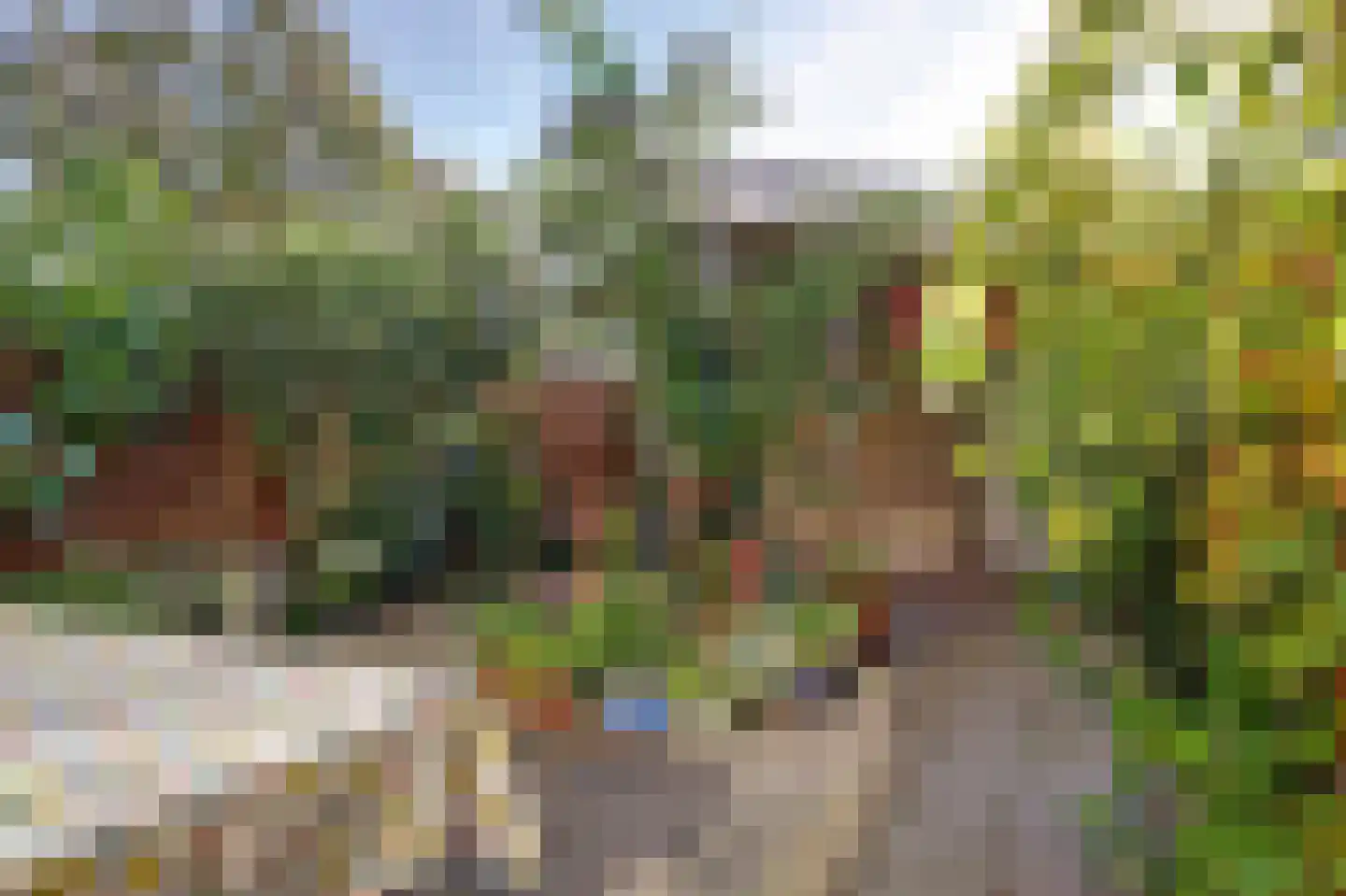 Drakensteynstraat 2 Haarlem thumbnail 38