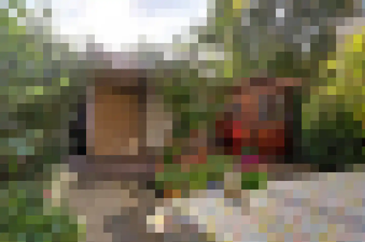Drakensteynstraat 2 Haarlem thumbnail 39