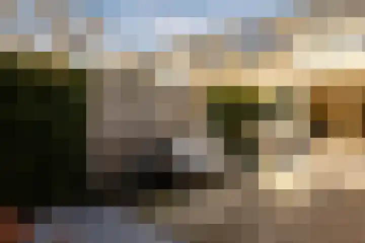 Drakensteynstraat 22 Haarlem thumbnail 23