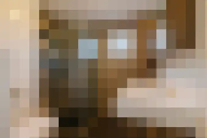Drakensteynstraat 22 Haarlem thumbnail 31